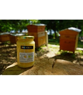 Miel de Tilleul Bio 500 g, Vente Directe Producteur