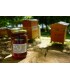 Miel de Sapin Bio 500 g, Vente Directe Producteur