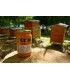 Miel de Foret Bio 500 g, Vente Directe Producteur