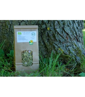 Achillée Millefeuille Infusions, Vente Directe Producteur