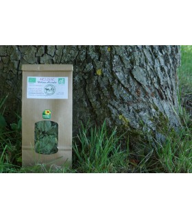Infusion Mélisse, Vente Directe Producteur