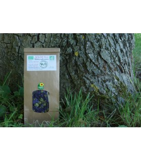 Infusion Mauve, Vente Directe Producteur