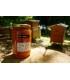 Miel de Chataignier Bio 1 kg, Vente Directe Producteur