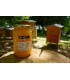 Miel de Tilleul Bio 1 kg, Vente Directe Producteur